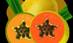 吃瓜爆料封面素材图片高清,高清封面素材背后的吃瓜真相