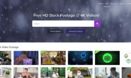 热门短视频网站,揭秘热门平台背后的魅力与影响力