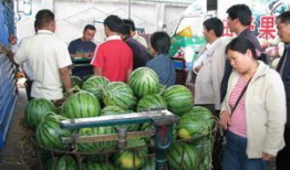 河南校园吃瓜爆料事件,揭秘校园内幕事件