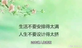 经典语录短视频,智慧火花，瞬间点燃心灵