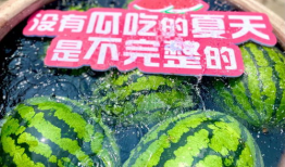 凉山吃瓜爆料视频大全集,视频大全集精彩瞬间回顾