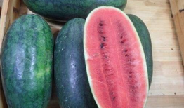 网红吃瓜爆料黑科,黑科背后的惊人真相，吃瓜群众纷纷热议