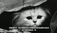 伤感字幕短视频,伤感字幕短视频背后的感人故事