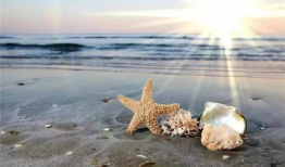 海滩短视频,短视频带你领略海滩魅力