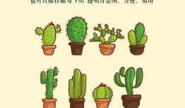 仙人掌动漫,探寻仙人掌世界的奇幻冒险