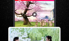 樱桃短视频小视频,捕捉生活瞬间，展现青春风采