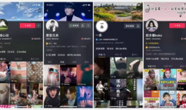 短视频app分析,重塑社交娱乐新格局