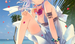 最新h动漫,最新H动漫的奇幻冒险之旅