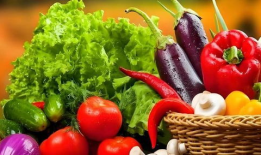 各种菜短视频,探秘各大菜系风采